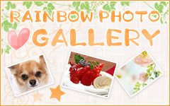 RAINBOW PHOTO GALLERY